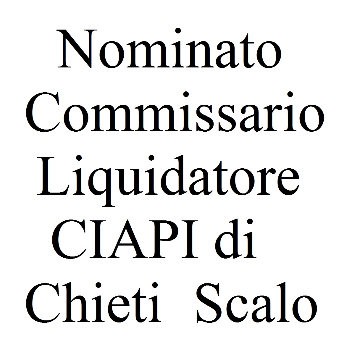 Nominato Commissario Liquidatore CIAPI di Chieti Scalo foto