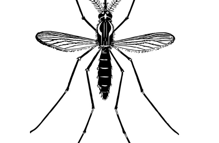 Disinfestazione a San Giovanni Teatino primo giugno 2020