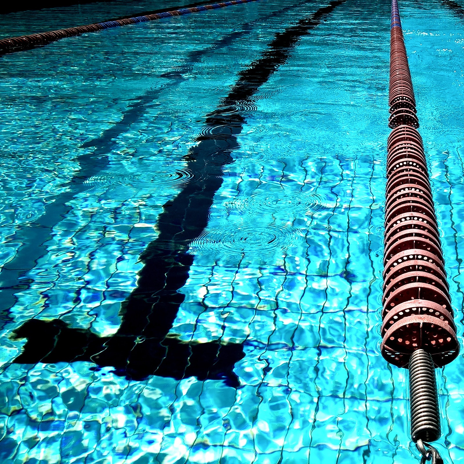 campus acquatico 2021 di Chieti Massimiliano Rosolino Onda Max 2020