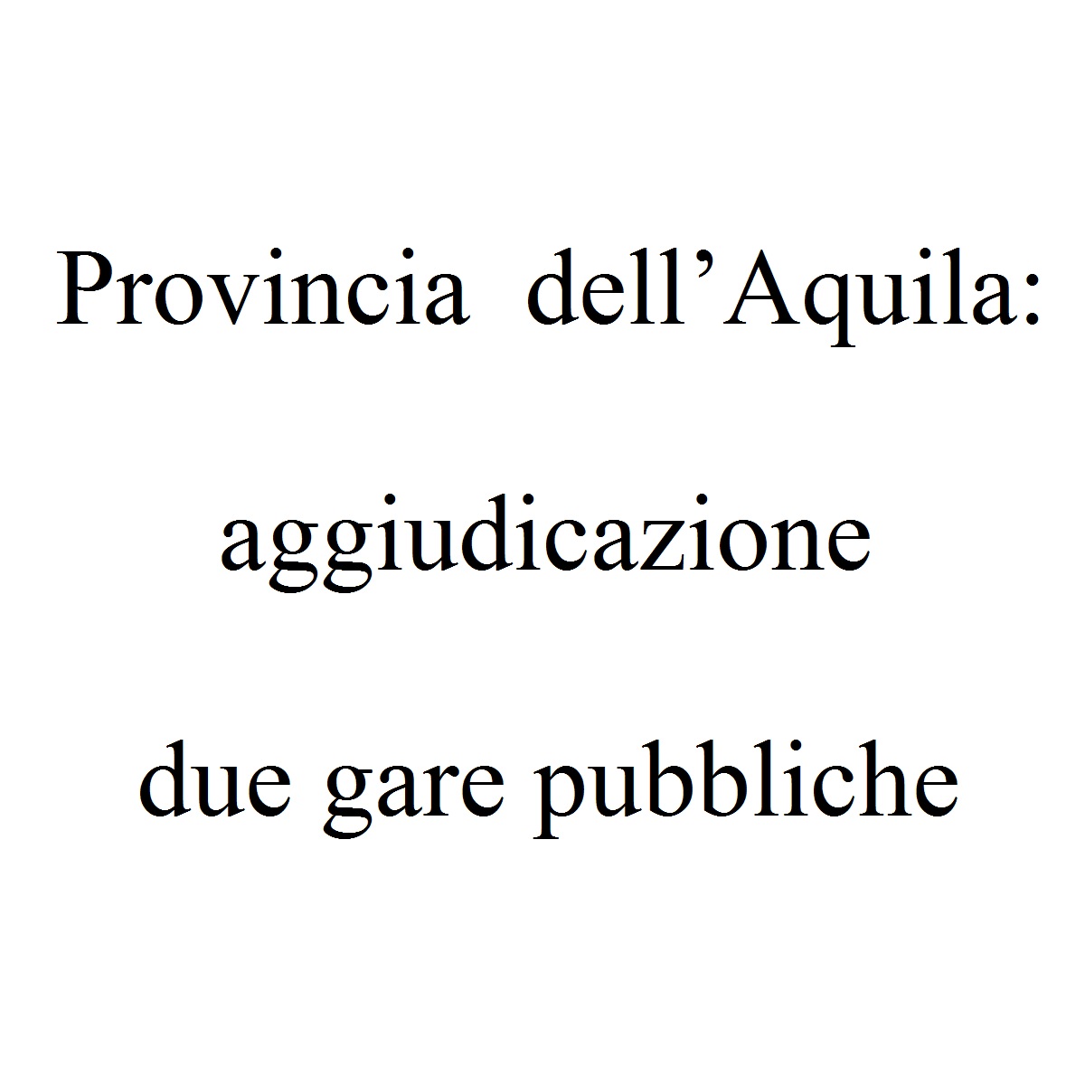 Provincia dell’Aquila aggiudicazione due gare pubbliche foto