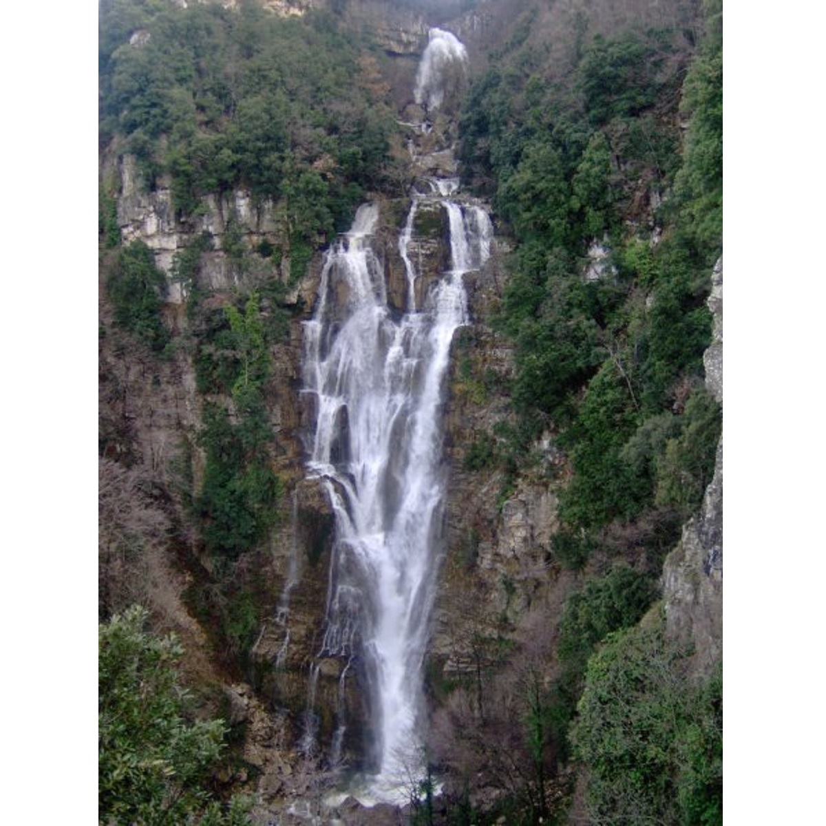 Borrello appalto due strutture