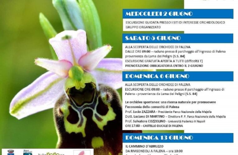 Palena… nel Paese delle Orchidee