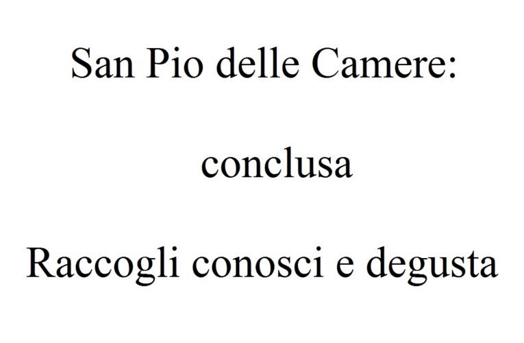 Conclusa la manifestazione Raccogli conosci e degusta