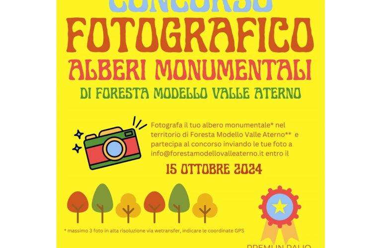 Alberi Monumentali di Foresta Modello Valle Aterno: un concorso