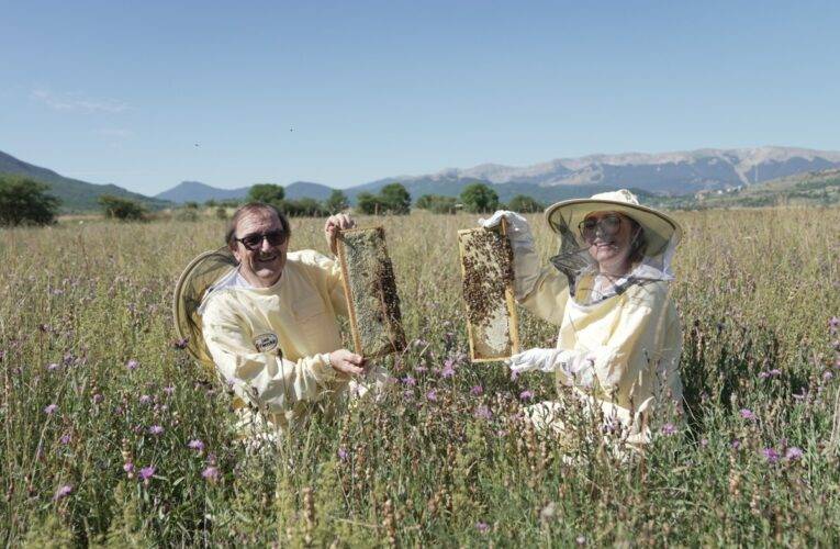 Apicoltura Luca Finocchio riconquista Parigi