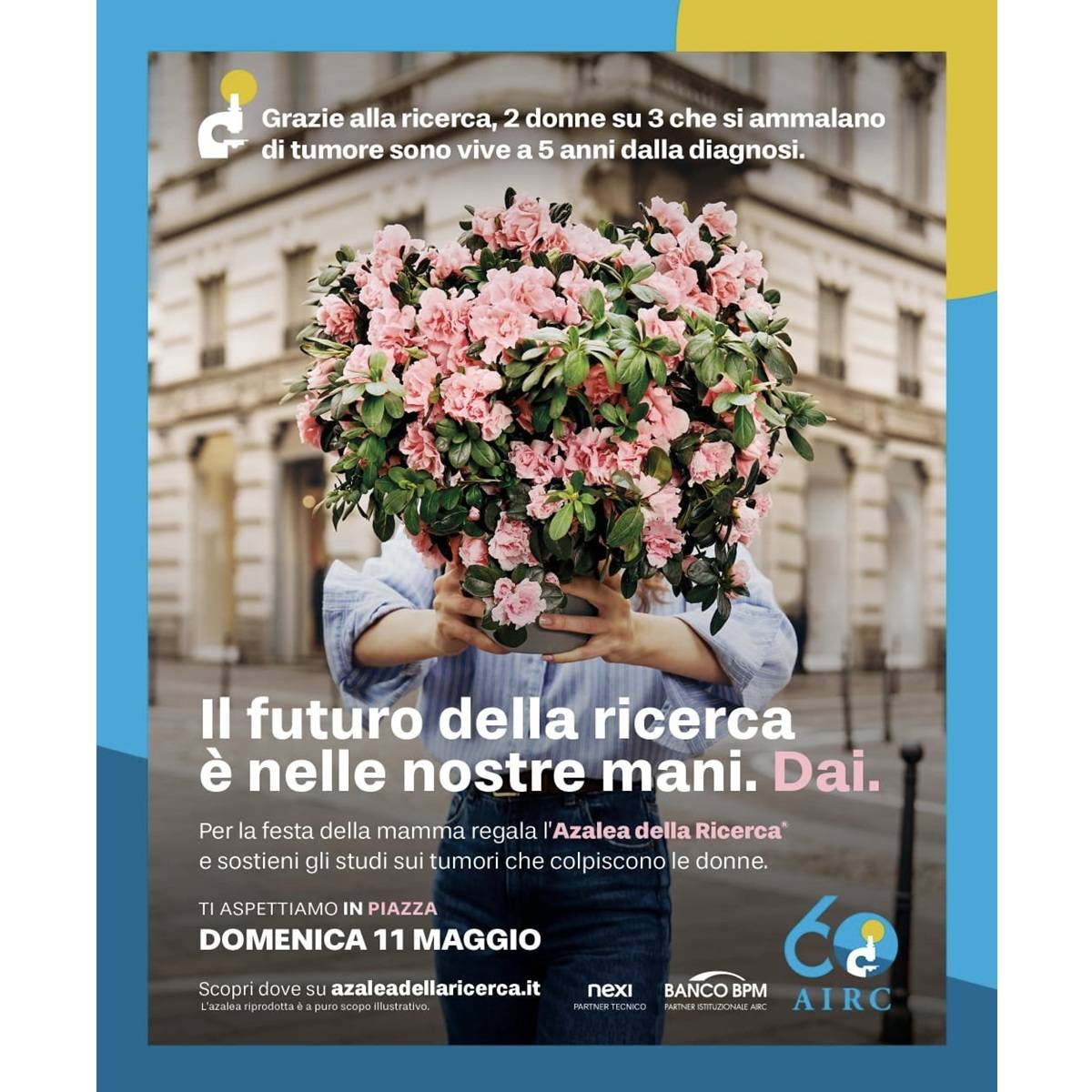 Le Azalee della Ricerca AIRC sabato 10 e domenica 11 maggio 2025 foto