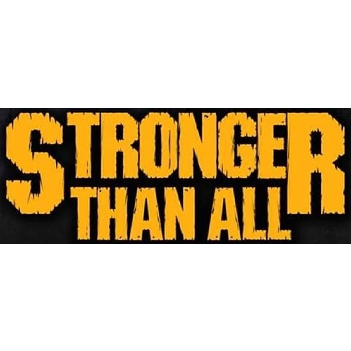 Stronger Than All Italian Tribute Pantera presso il Jammin' a Montesilvano 3 maggio 2025 foto