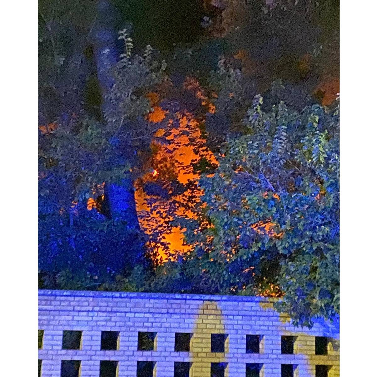 Pescara incendio tra Viale della Pineta e il Laghetto dei Cigni foto